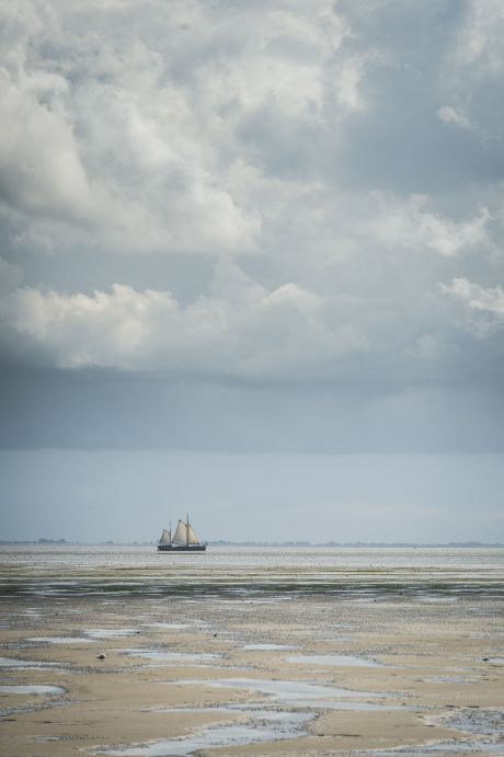 Weltnaturerbe Wattenmeer - Wadden.nl