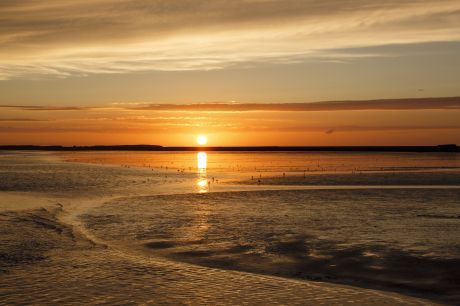 werelderfgoed_de_waddenzee_anja_brouwer_img_1261x_1.jpg