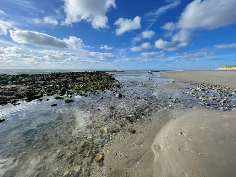 werelderfgoed_de_waddenzee_chantal_roest_gratis_gebruik4_1.jpg