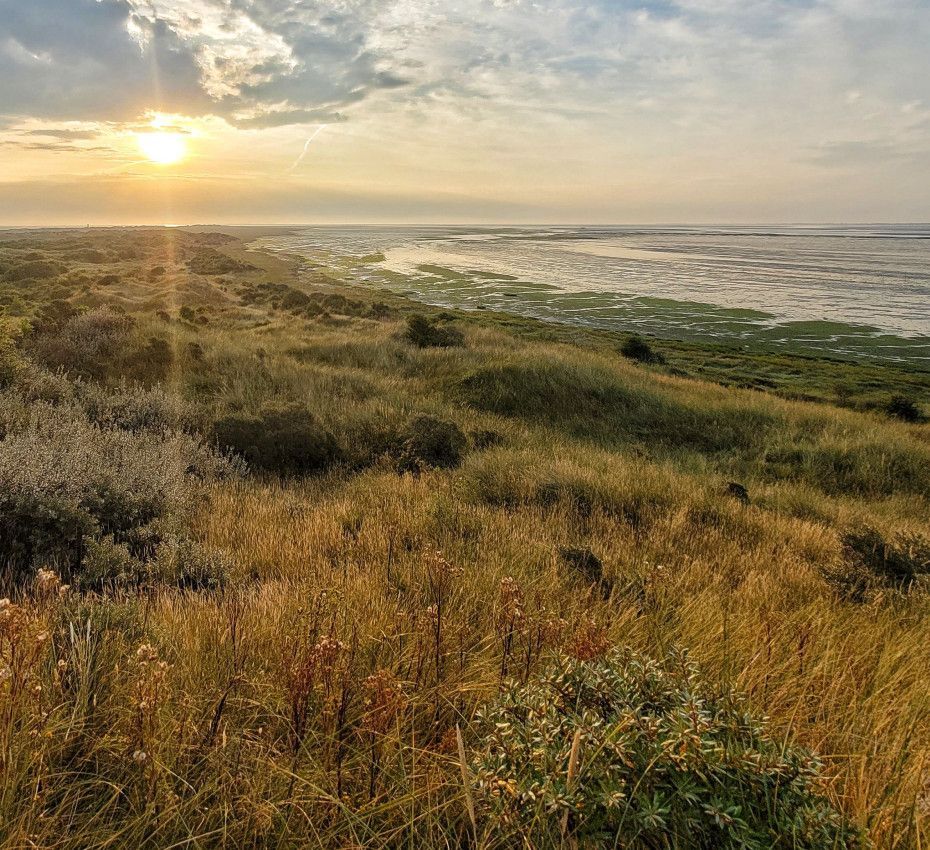 <p>Naturschutzgebiete auf den Watteninsel Texel, Vlieland, Terschelling, Ameland und Schiermonnikoog - Wadden.nl</p>