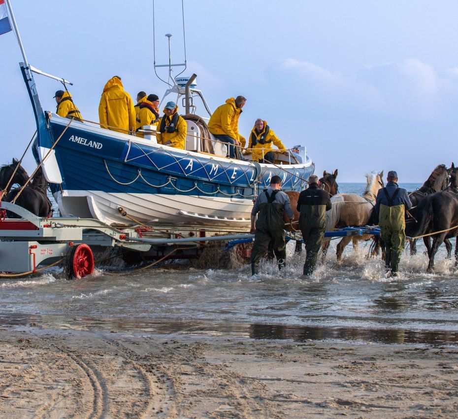 <p>Demonstration Pferde-Rettungsboot Ameland - Wadden.nl</p>