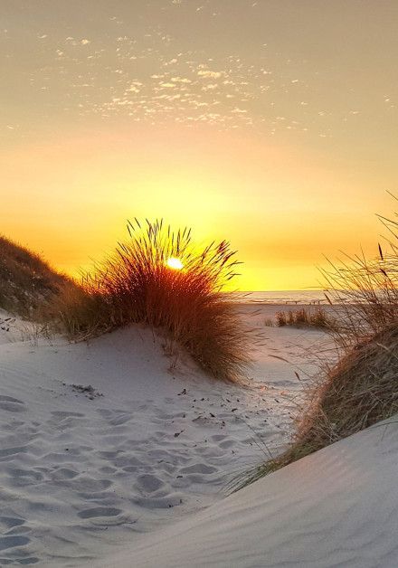 Besuchen Sie den Strand auf Terschelling - Wadden.nl