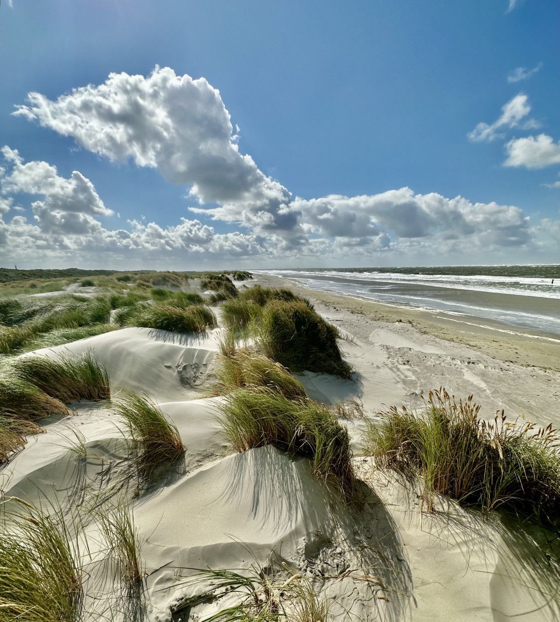 National Park Schiermonnikoog - VVV Schiermonnikoog - Wadden.nl