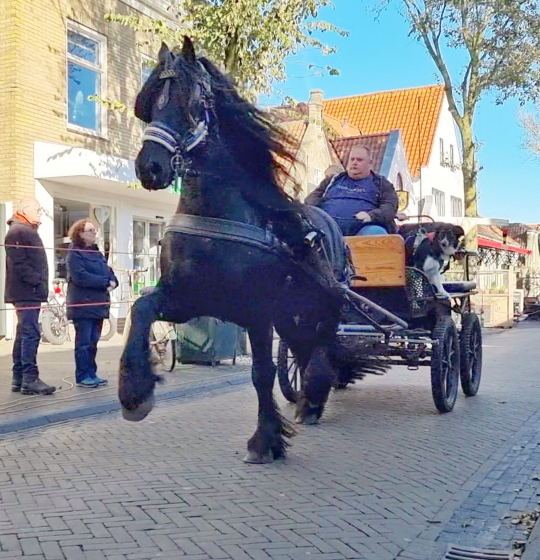 Veranstaltungen im Herbst - Ring steken