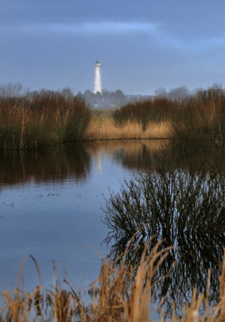 Sehen Sie sich alle Herbstaktivitäten auf der Watteninsel Schiermonnikoog an