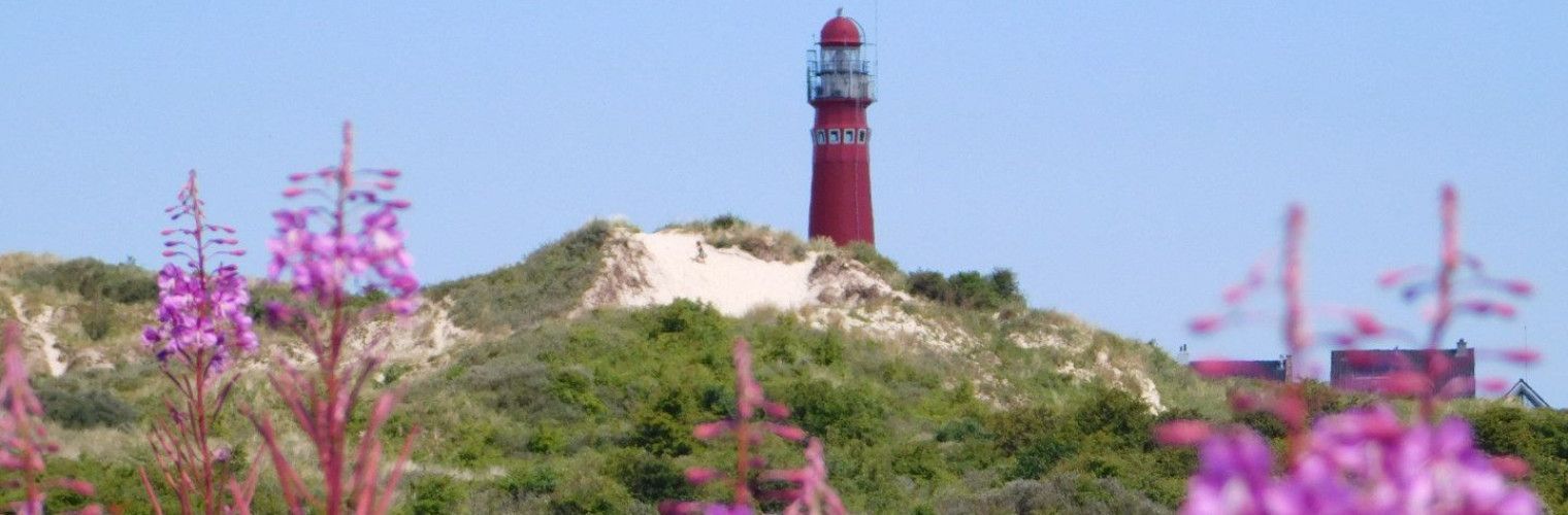 Vogelbeobachtung als Aktivität auf der Westfriesische Inseln - Wadden.nl