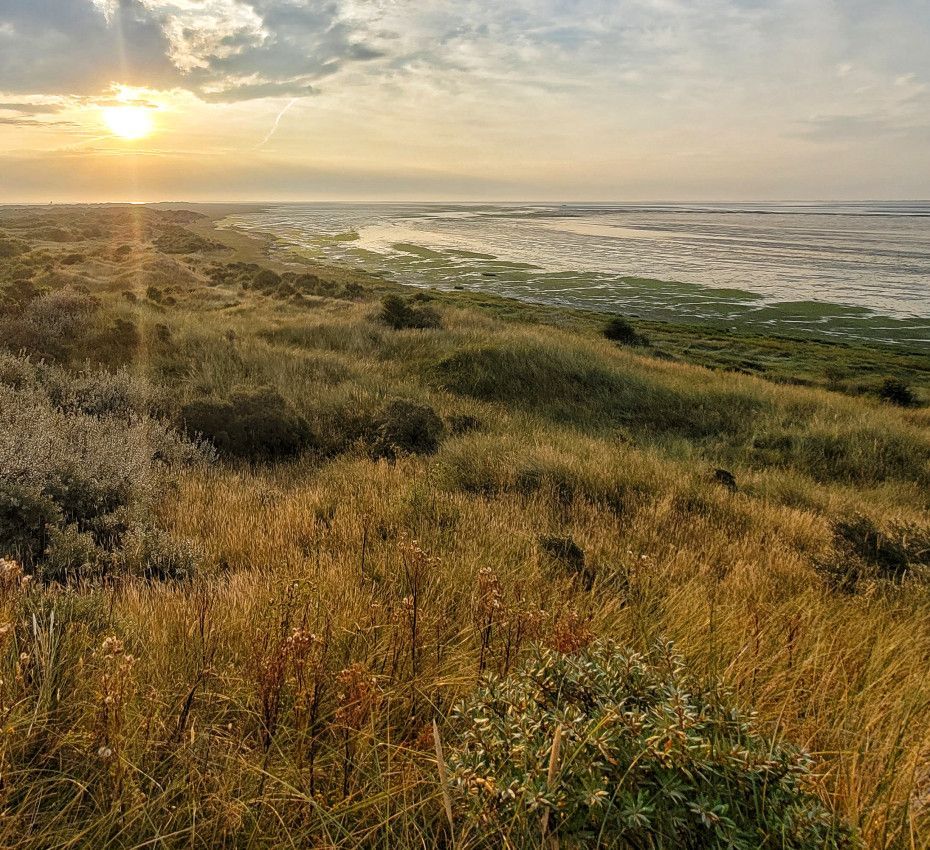 <p>Natuurgebieden op waddeneiland Texel, Vlieland, Terschelling, Ameland en Schiermonnikoog - Wadden.nl</p>