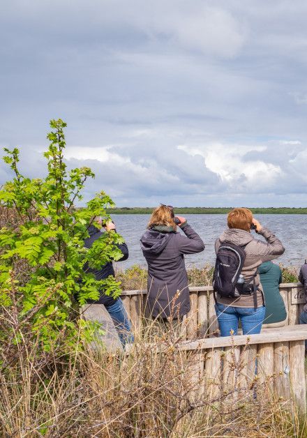 Ausflüge auf der Watteninsel Texel