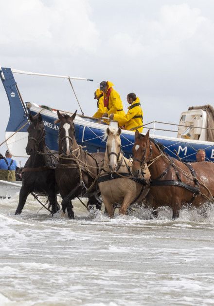 Sehen Sie sich alle Herbstaktivitäten auf der Watteninsel Ameland an