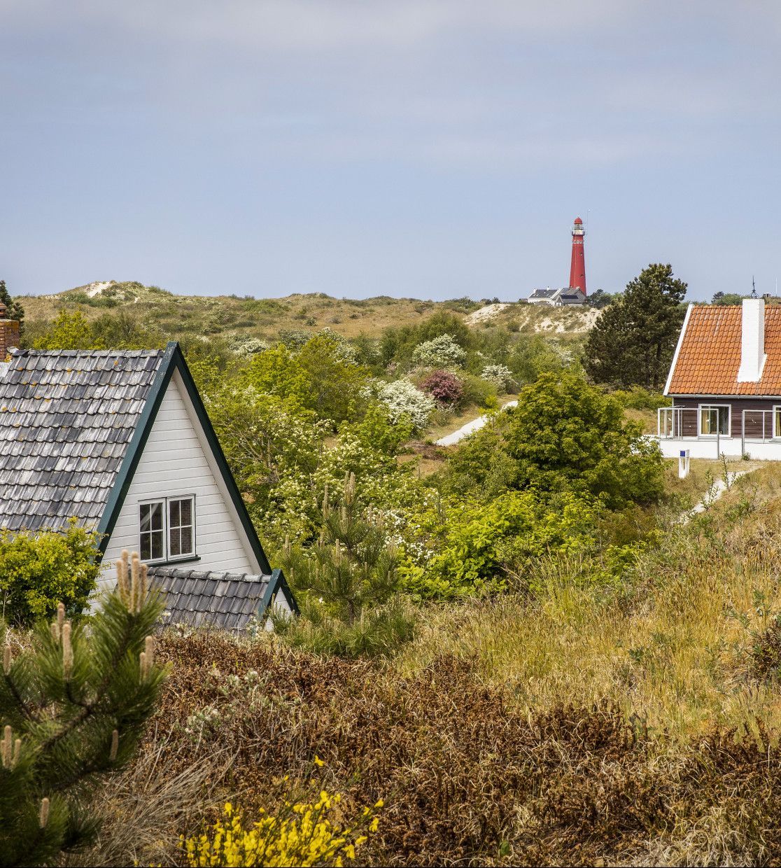 Übernachten auf Schiermonnikoog - VVV Schiermonnikoog - Wadden.nl