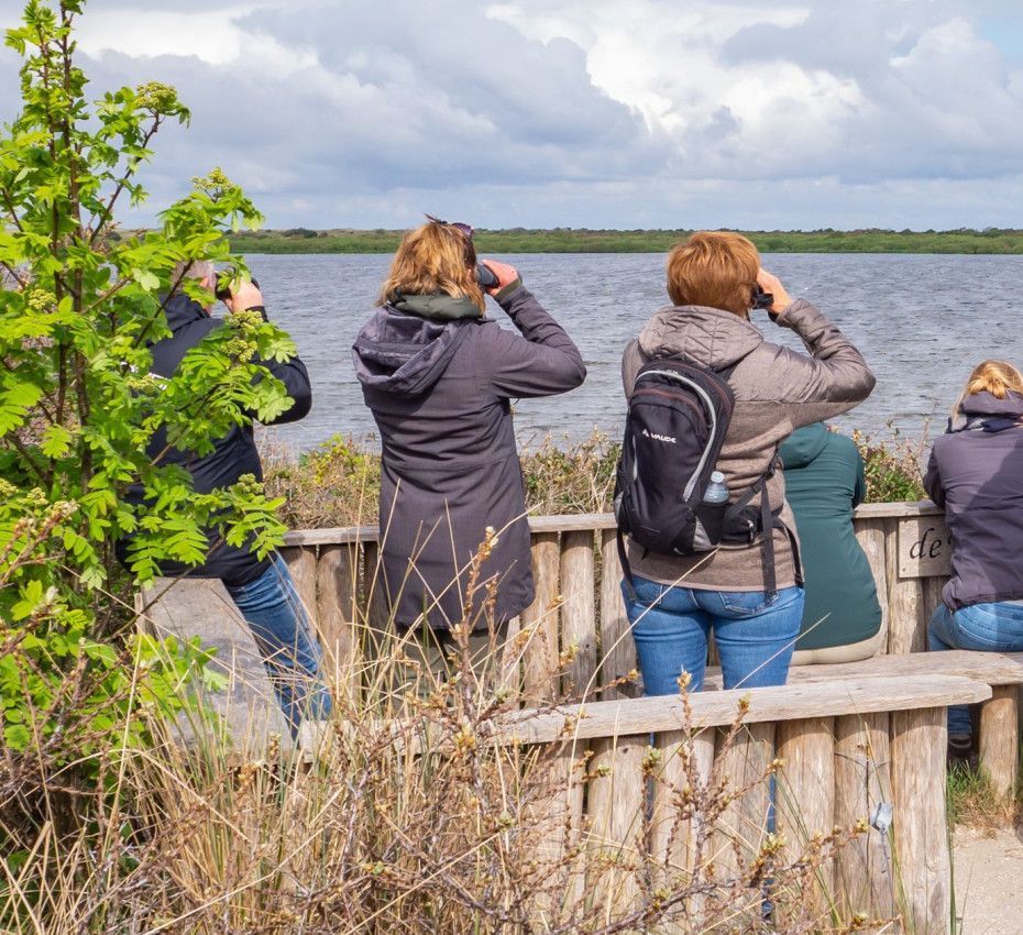 <p>Vogelbeobachtungsplätz bei Oudeschild auf der Watteninsel Texel</p>