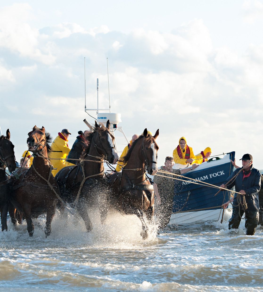 Das wollen Sie im Jahr 2025 erleben auf die Westfriesische Ineln Texel, Vlieland, Terschelling, Ameland und Schiermonnikoog!