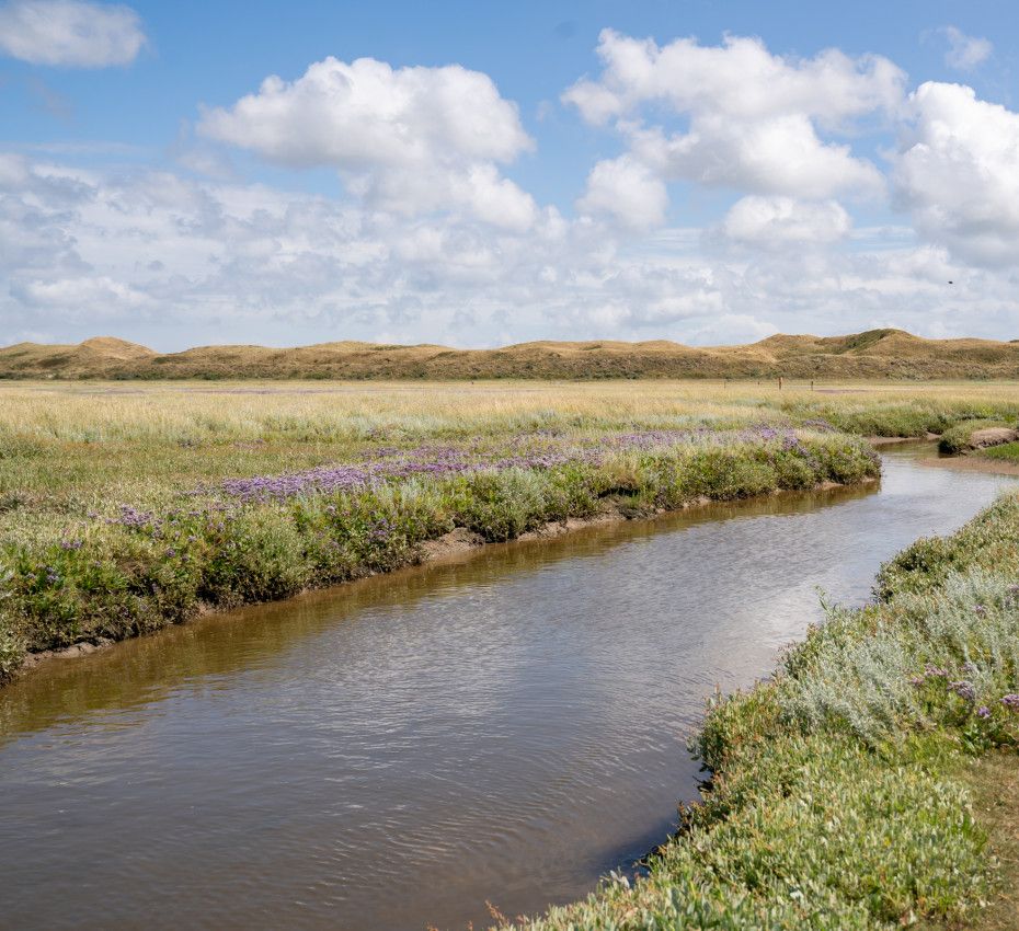 <p>Naturausflüge auf der Watteninsel Texel</p>