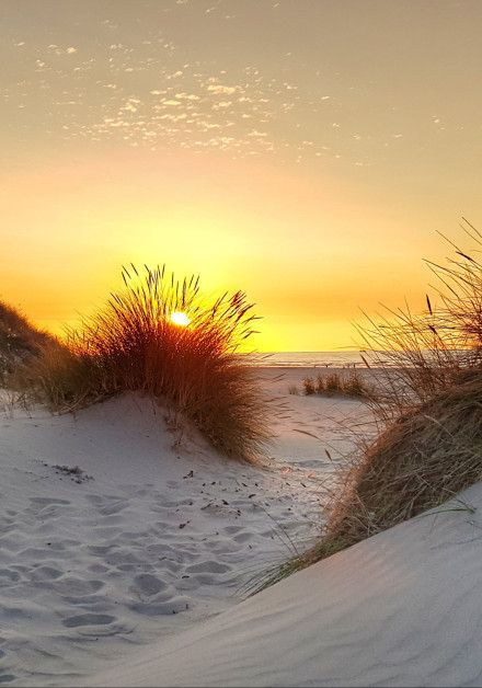 Besuchen Sie den Strand auf Terschelling - Wadden.nl