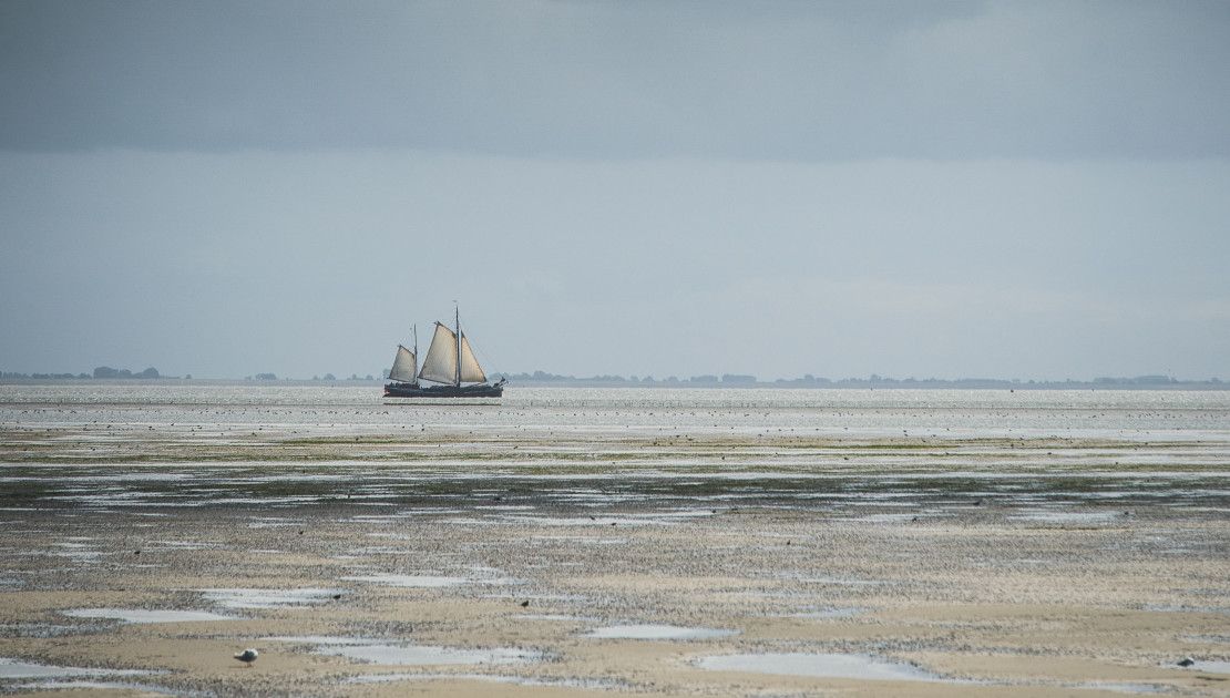 Das Wattenmeer ist Einzigartig  - Wadden.nl