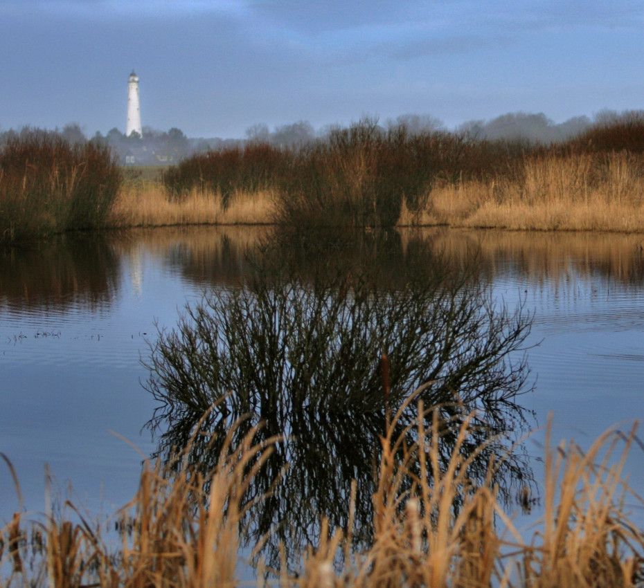 <p>Erlebe De Westerplas auf Schiermonnikoog - Wadden.nl</p>