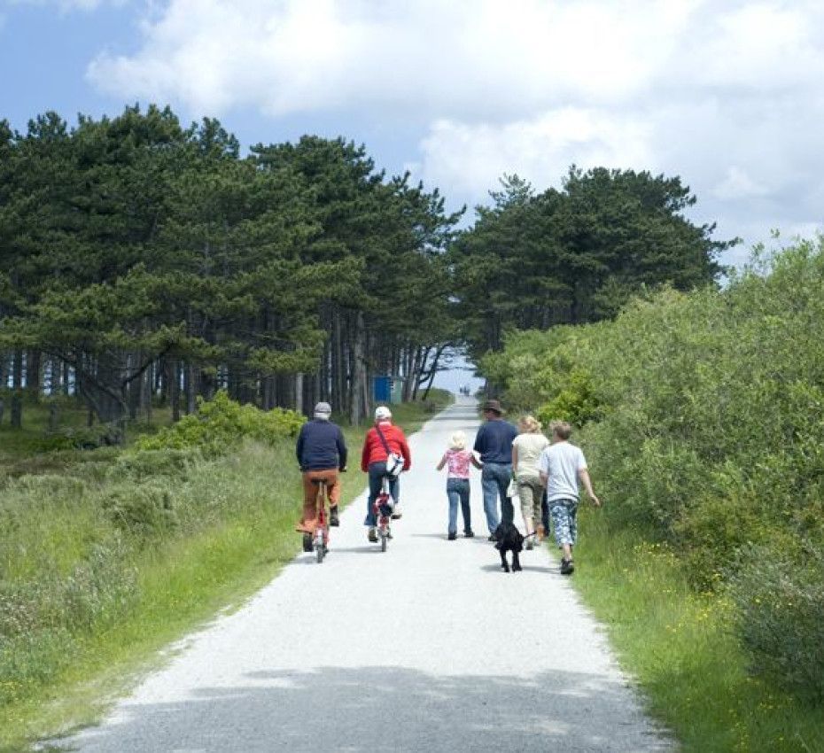 <p>Radfahren, Fahrradverleih und Fahrradrouten auf der Watteninsel Vlieland - Wadden.nl</p>