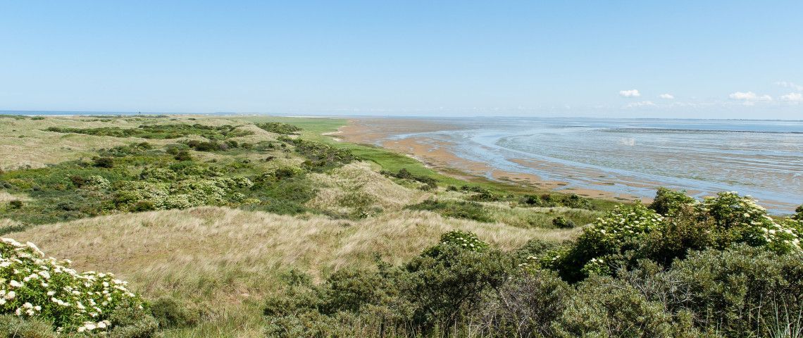 Die schönsten Aussichtspunkte auf der Watteninsel Ameland - Wadden.nl