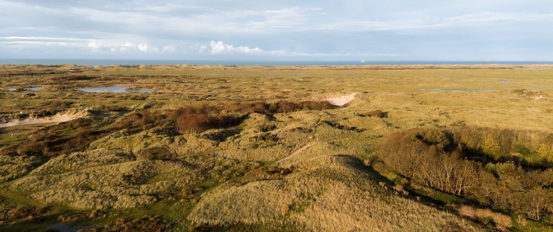 Erleben Sie den Herbst auf der Westfriesische Inseln