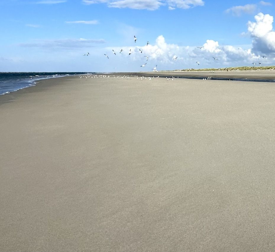 <p>Naturschutzgebiete auf den Watteninsel Texel, Vlieland, Terschelling, Ameland und Schiermonnikoog - Wadden.nl</p>