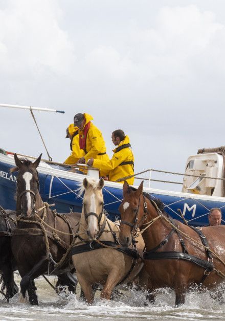 Bekijk álle herfstactiviteiten op waddeneiland Ameland