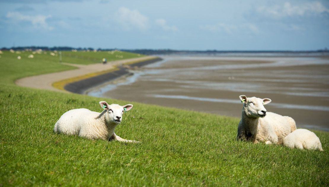 Was ist ein Welterbe? - Wadden.nl