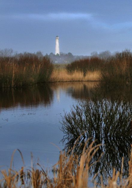 Sehen Sie sich alle Herbstaktivitäten auf der Watteninsel Schiermonnikoog an