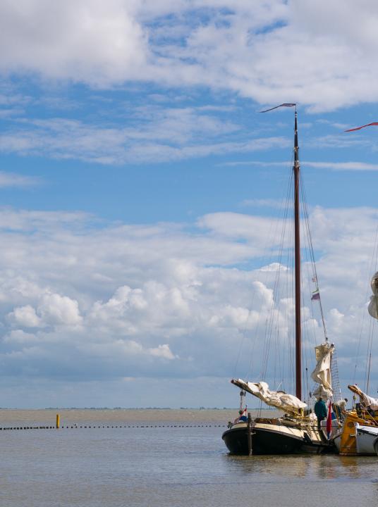 Waddenhoppen - Wadden.nl