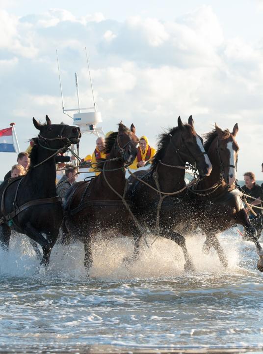 Vorführung des Pferderettungsbootes - Wadden.nl - VVV Ameland