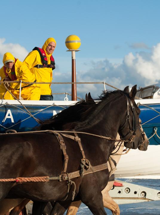 Vorführung des Pferderettungsboote - VVV Amelands - Wadden.nl