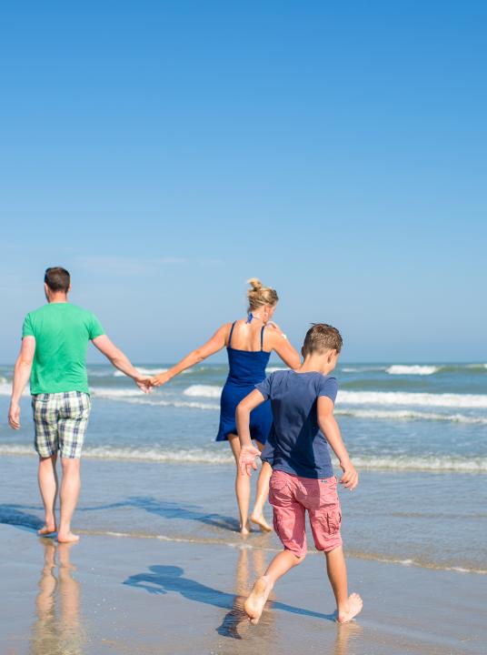 Insel Kontaktdaten - Wadden.nl 