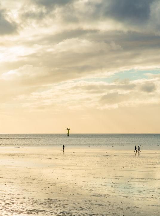 Weltnaturerbe Wattenmeer - Wadden.nl