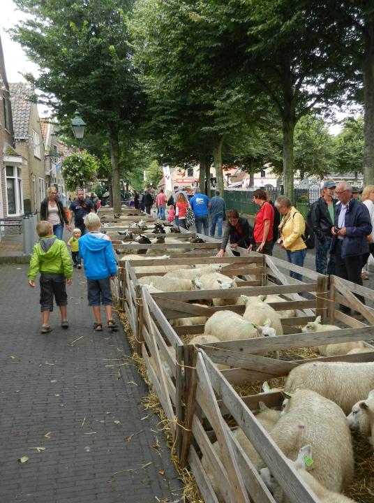 Tiermarkt - VVV Terschelling - Wadden.nl